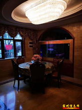 天鵝灣雙拼豪華別墅前后大院自動門